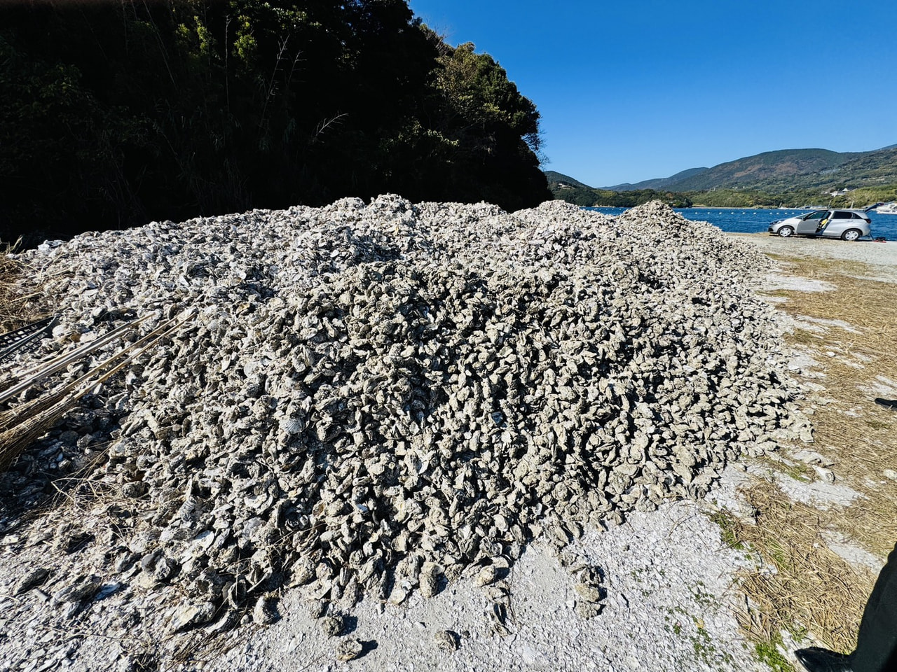 愛南カキの大量死に対して緊急支援の要望を伺う