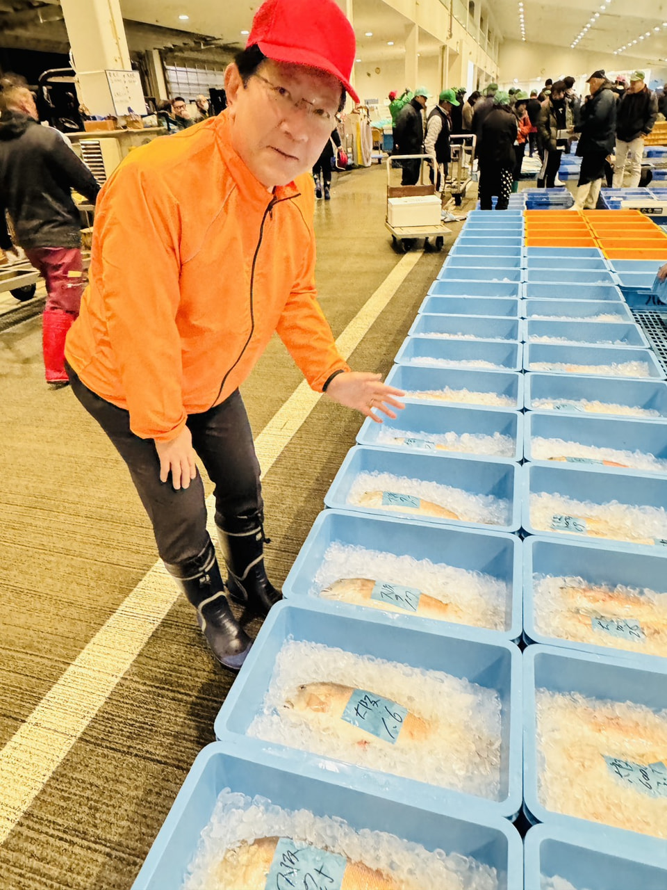 2025年1月5日（月）八幡浜魚市場・初セリ