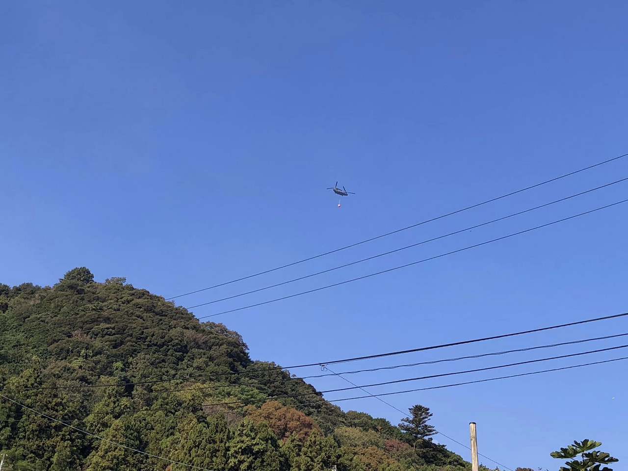 大洲市戒川の山火事について