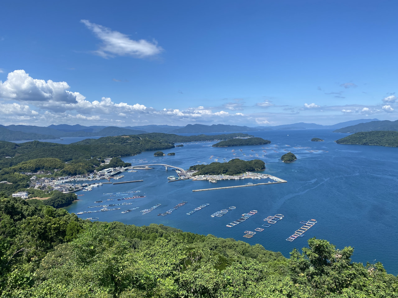 2023年9月6日（水）ダイアリー